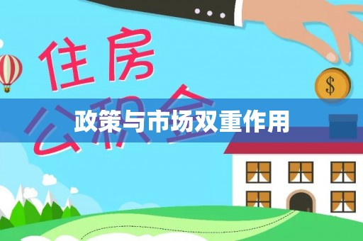 中介政策与市场双重作用
