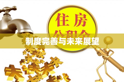 中介制度完善与未来展望
