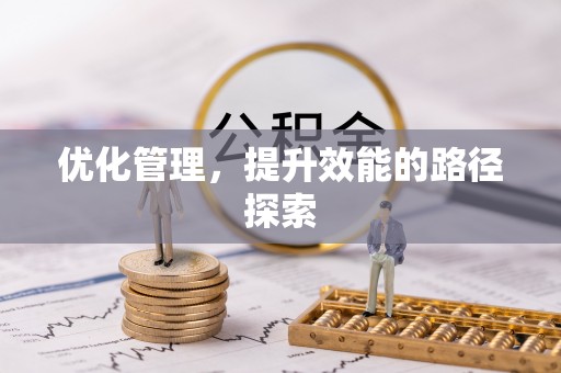 中介优化管理，提升效能的路径探索