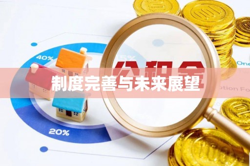 中介制度完善与未来展望