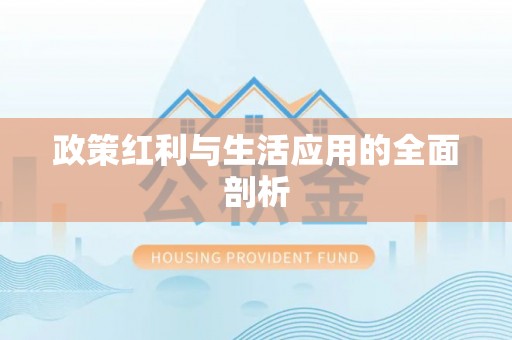 中介政策红利与生活应用的全面剖析