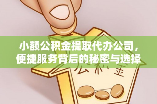 中介小额公积金提取代办公司，便捷服务背后的秘密与选择指南