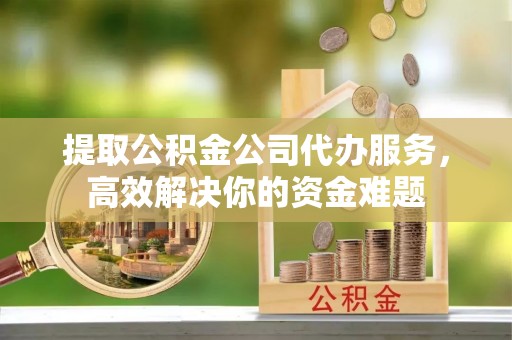 中介提取公积金公司代办服务，高效解决你的资金难题