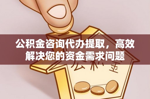 中介公积金咨询代办提取，高效解决您的资金需求问题