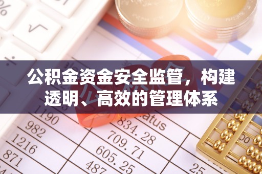 中介公积金资金安全监管，构建透明、高效的管理体系