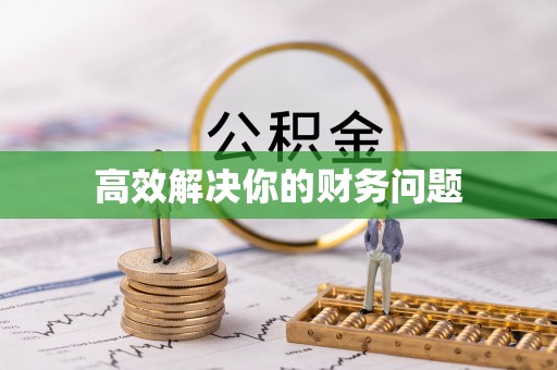 中介高效解决你的财务问题