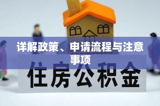 中介详解政策、申请流程与注意事项